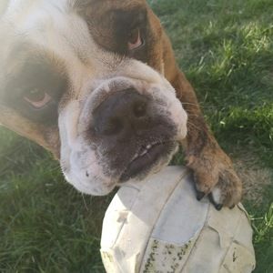 Meet your Posher, Rebecca